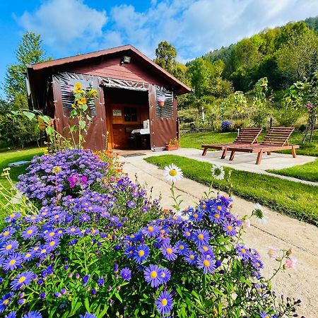 Cottage La Sierra With Jacuzzi 科雷尼察 外观 照片