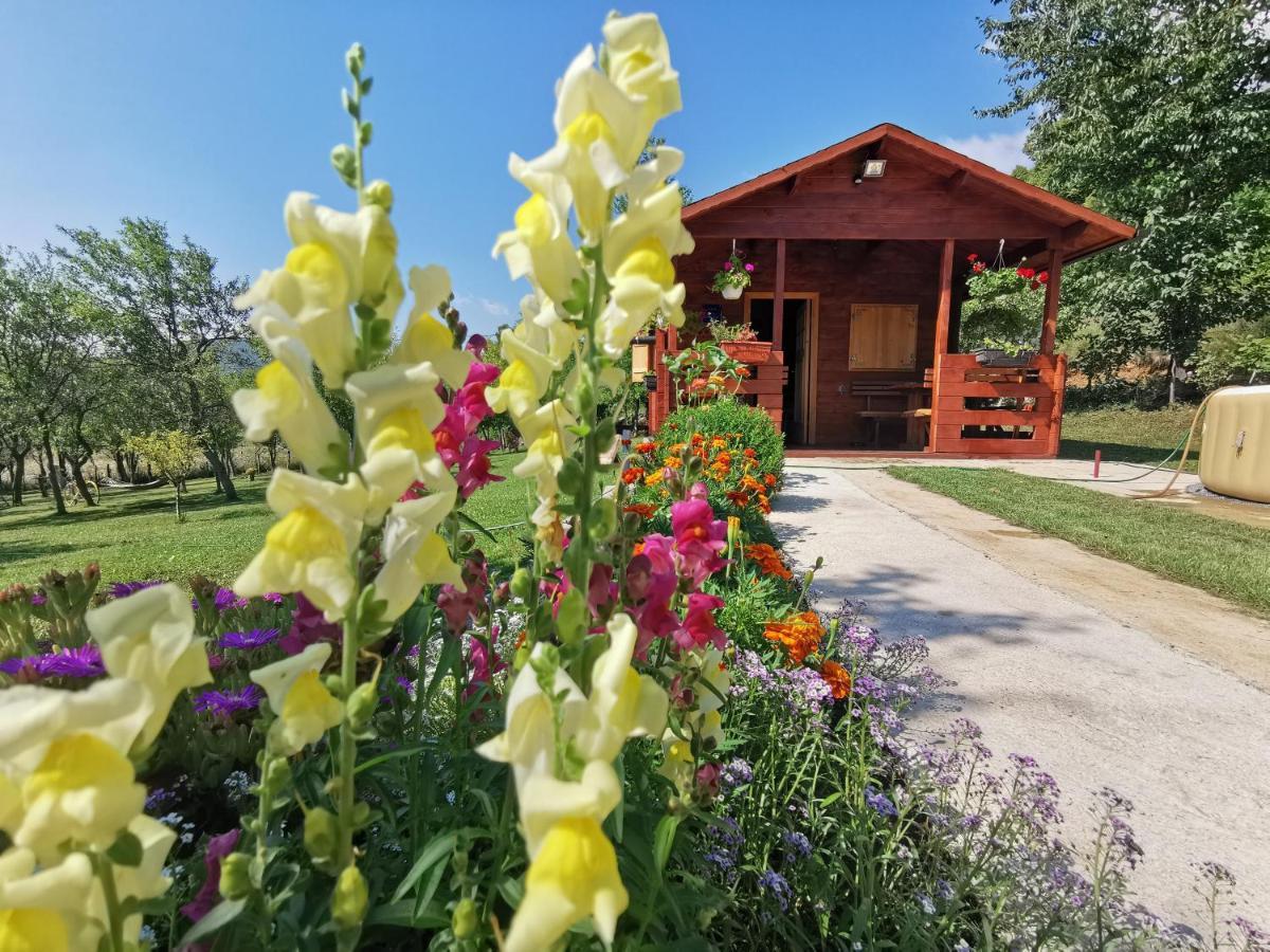Cottage La Sierra With Jacuzzi 科雷尼察 外观 照片