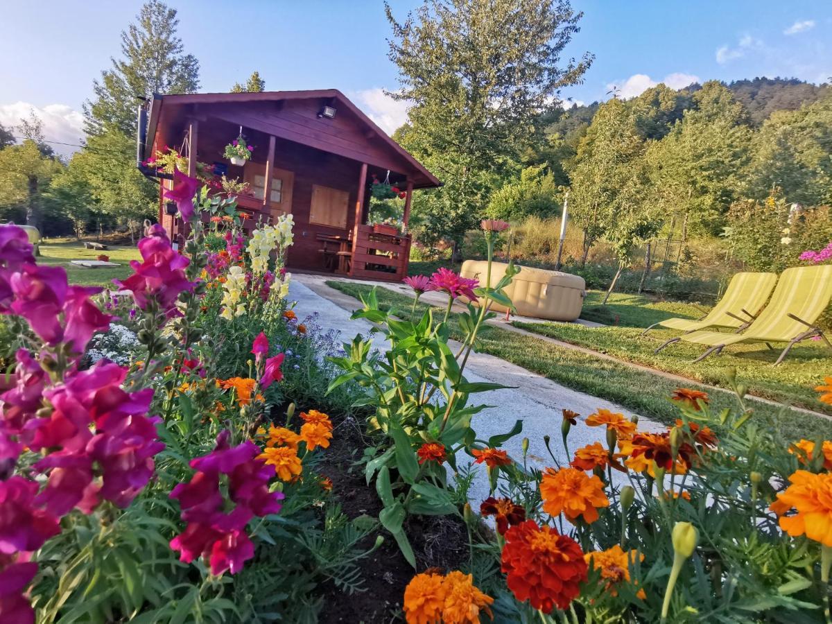 Cottage La Sierra With Jacuzzi 科雷尼察 外观 照片