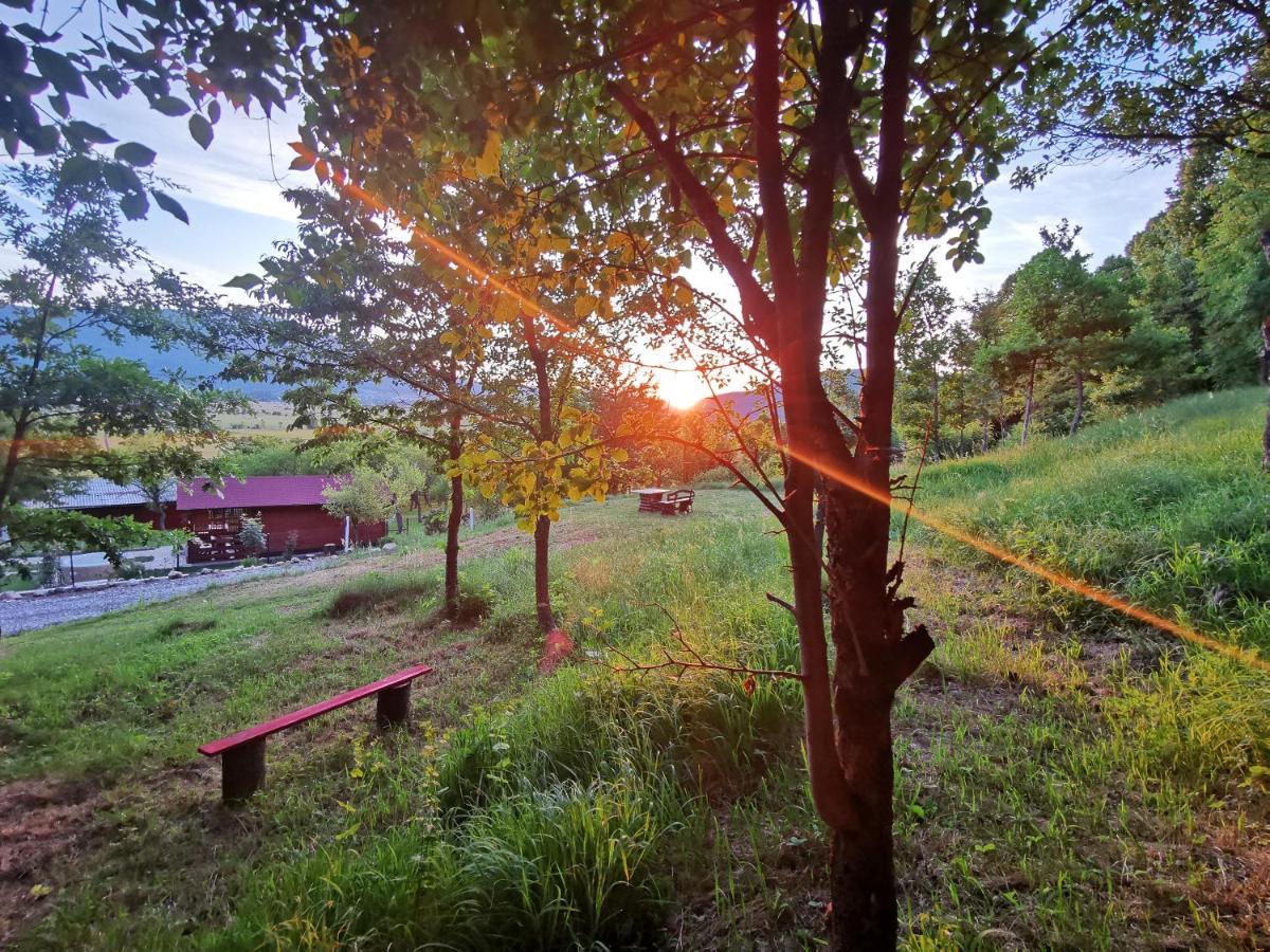 Cottage La Sierra With Jacuzzi 科雷尼察 外观 照片